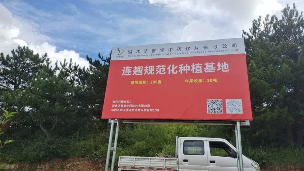 GAP标准中药材种植基地